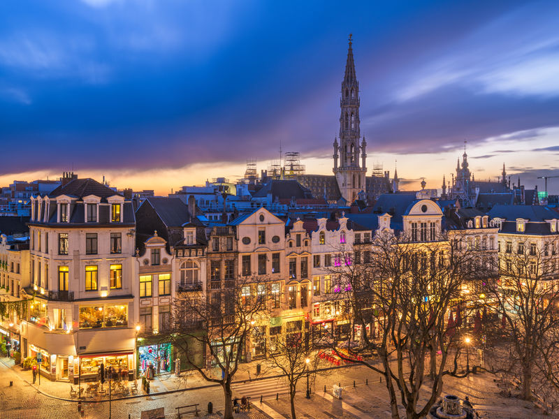 Moje zkušenost z Young Citizens Assembly on Pollinators 